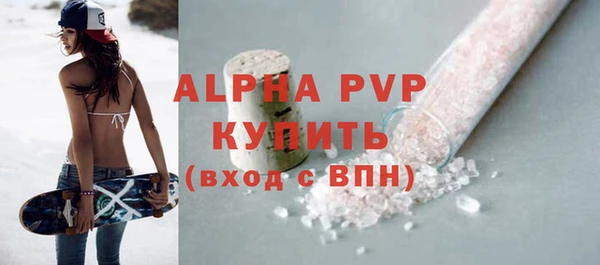 сатива Билибино