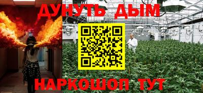 ГАЛЛЮЦИНОГЕННЫЕ ГРИБЫ Свободный