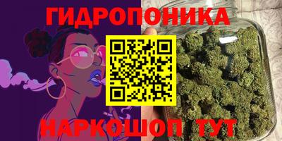 ГАЛЛЮЦИНОГЕННЫЕ ГРИБЫ Свободный