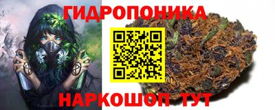 сатива Севастополь