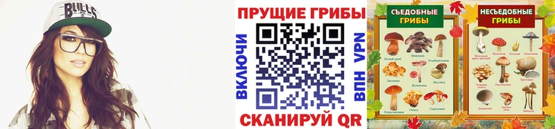 купить   Маркс  мега ссылка  Галлюциногенные грибы MAGIC MUSHROOMS 