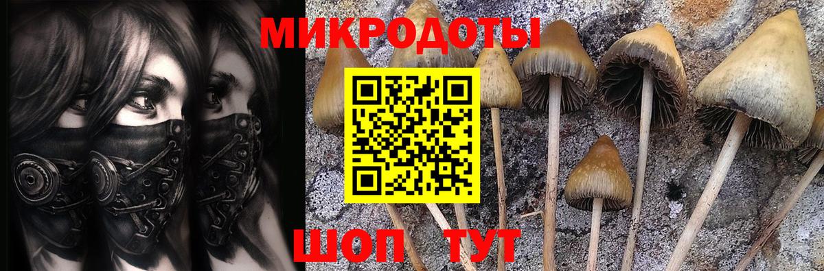 Псилоцибиновые грибы GOLDEN TEACHER Маркс